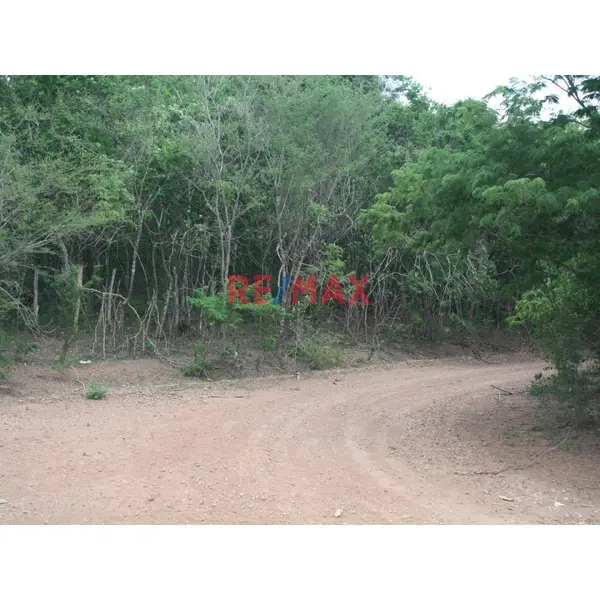Terreno de 10 hectáreas en Agua Caliente de Gárate