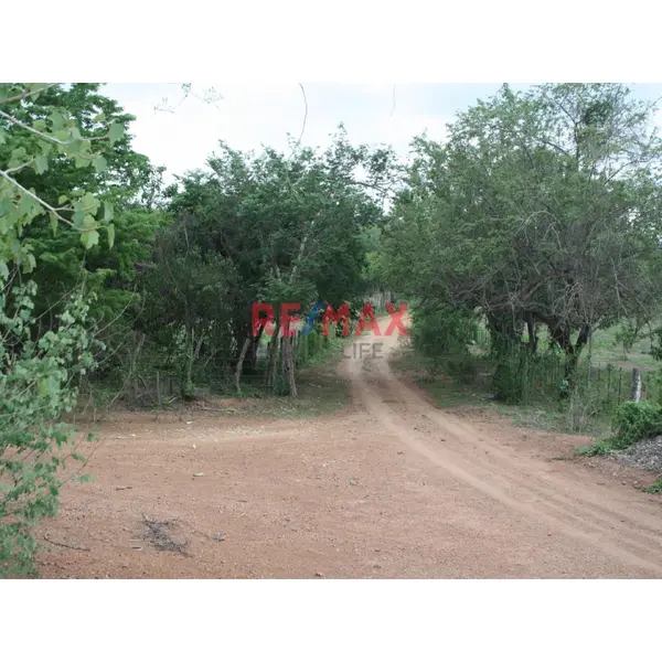 Terreno de 10 hectáreas en Agua Caliente de Gárate