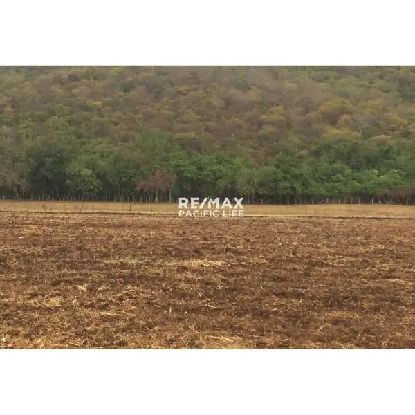 Parcela agrícola en venta en Agua Caliente de Gárate