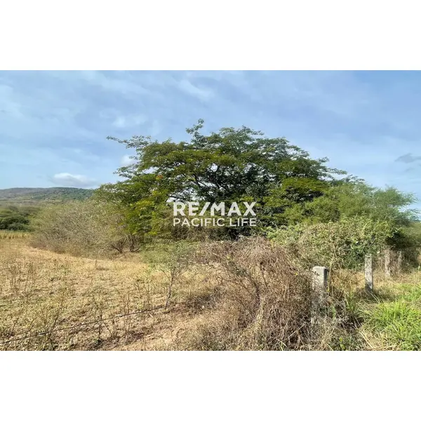 Parcela de 70,000 m² en venta, carretera Mazatlán-Tepic
