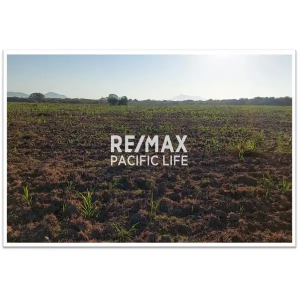 Terreno agrícola en venta entre Villa Unión y El Walamo