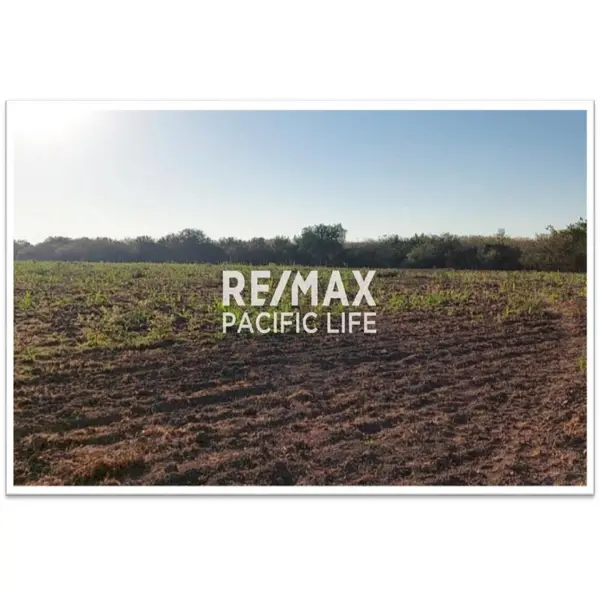 Terreno agrícola en venta entre Villa Unión y El Walamo