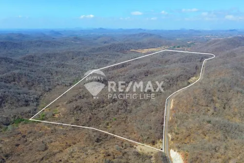120 Hectares in La Noria with Infrastructure