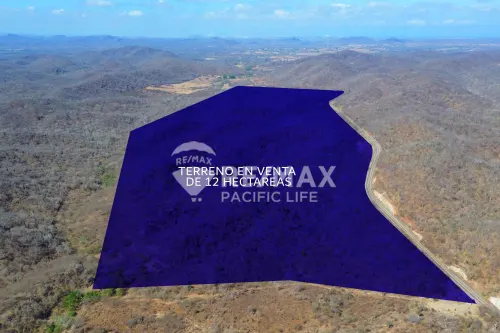 120 Hectares in La Noria with Infrastructure