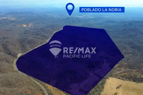 120 Hectares in La Noria with Infrastructure