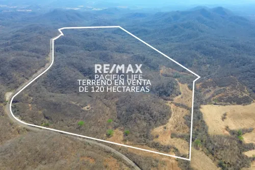 120 Hectares in La Noria with Infrastructure